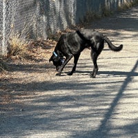 Photo taken at Magnuson Park Off-Leash Dog Park by Rosemary L. on 9/9/2023