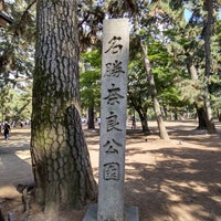 Photo taken at Nara Park by たし君 ★. on 5/11/2024