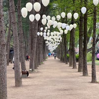 Photo taken at Nami Island by Mohammed on 4/20/2024