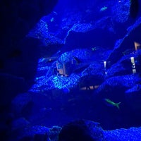 Photo taken at Sumida Aquarium by kururinatural on 9/26/2016