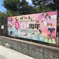 Photo taken at Yoyogi Pony Park by Chariken P. on 10/11/2023