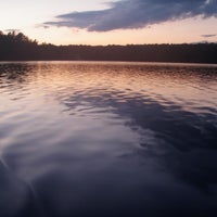 Sucker Lake Cottage Rosseau On