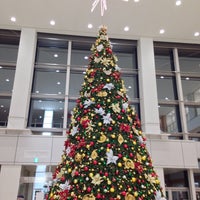 イトーヨーカドー 小田原店 小田原 小田原市 神奈川県 イトーヨーカドー 小田原店 小田原 小田原市 神奈川県