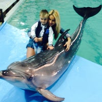 Photo taken at Dolphinarium by ВикториЯ Ш. on 7/11/2015