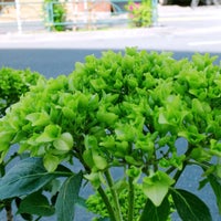 Lixil鈴木シャッター 豊島区 東京都