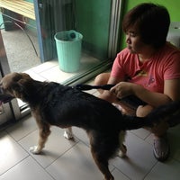 Dr G Animal Clinic Bacoor Cavite