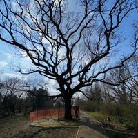 Photo taken at One Tree Hill by Topher T. on 3/20/2022