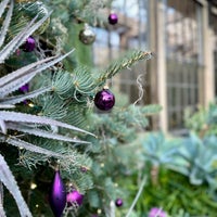 Photo taken at Longwood Gardens by Topher T. on 12/20/2023
