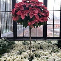 Photo taken at Longwood Gardens by Topher T. on 12/20/2023