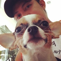 rice street pet clinic