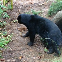Photo taken at Sun Bear Exhibit by Scary S. on 8/18/2013