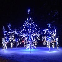 Brightnights At Forest Park Dates Hours Discounts And