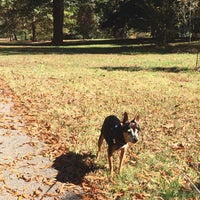 Photo taken at Dog Walking in Piedmont Park by Terry V. on 10/30/2015