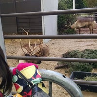 Photo taken at Reindeer by Catherine M. on 12/23/2016