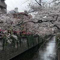 Photo taken at Meguro River Green Road by Rei H. on 3/31/2023