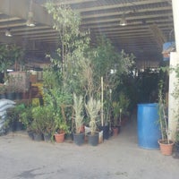 Photo taken at Floranza Nursery by Zahed A. on 9/26/2012