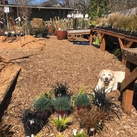 Photo taken at City People&amp;#39;s Garden Store by Gina H. on 3/30/2019