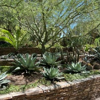 Photo taken at Desert Botanical Garden by Olena S. on 9/4/2023