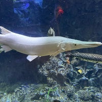 Photo taken at Downtown Aquarium by Tomáš H. on 11/26/2023