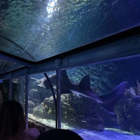 Photo taken at Downtown Aquarium by Tomáš H. on 11/26/2023