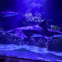 Photo taken at Downtown Aquarium by Tomáš H. on 11/26/2023