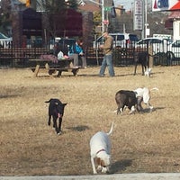 Photo taken at Dyker Dog Park by Stephanie B. on 11/23/2014