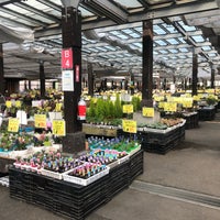 花市場 4 Tips De 1002 Visitantes 花市場 4 Tips De 1002 Visitantes