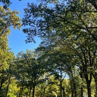 Photo taken at Mount Prospect Park by Amanda C. on 10/15/2022