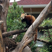 Снимок сделан в Seneca Park Zoo пользователем Alison R. 7/21/2021
