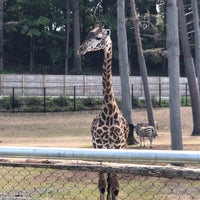Photo taken at Seneca Park Zoo by Alison R. on 9/4/2021