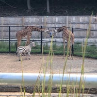 Foto diambil di Seneca Park Zoo oleh Alison R. pada 9/4/2021