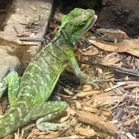 Photo taken at Reptile Discovery Center by Wataru O. on 3/10/2019