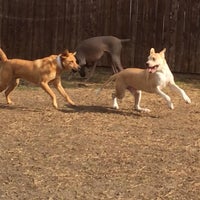 4/12/2014 tarihinde Jason H.ziyaretçi tarafından Rutherford Veterinary Hospital'de çekilen fotoğraf