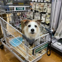 カインズ 東金店 1 Tip From 287 Visitors