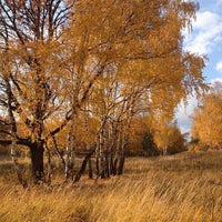 Photo taken at Большие Грязи by Алексей Б. on 11/15/2014