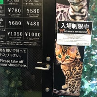 Photo taken at Harajuku Bengal Cat’s Forest by Joseph L. on 8/20/2017