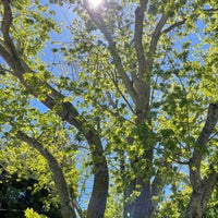 Photo taken at City of Burlingame by Julie O. on 5/10/2022