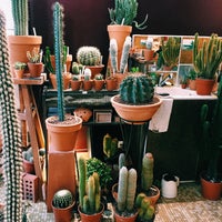 Photo taken at Les Succulents Cactus by Mariana P. on 5/14/2015