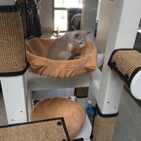 Photo taken at Tree House Humane Society by Laurassein on 7/29/2017