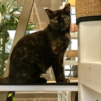 Photo taken at Tree House Humane Society by Laurassein on 11/10/2017