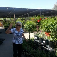 Summerwinds Nursery Phoenix Az Summerwinds Nursery Phoenix Az