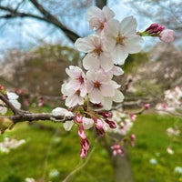 Photo taken at Kyoto Botanical Garden by Kiyohiko H. on 4/4/2024