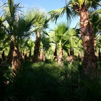 Moon Valley Nursery Surprise Az Photo Taken At Moon Valley Nursery By Bubsy On 6 23 2017