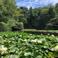 Photo taken at Nan-Chi (South Pond) by Roman K. on 9/15/2019