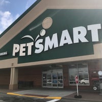 petsmart eastgate