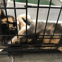 Photo taken at Steve&amp;#39;s Wonderful World Of Pets by Marie F. on 9/21/2018