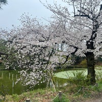 Photo taken at Zenpukuji Park by nannannan____ on 4/6/2024