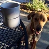 Das Foto wurde bei Dog Tooth Coffee Co von Anoop R. am 7/11/2014 aufgenommen