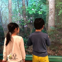 Photo taken at Ishikawa Insect Museum by な の. on 4/5/2019