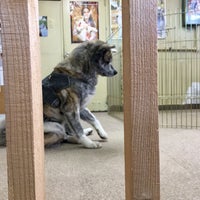 秋田犬ふれあい処 大館市 秋田県